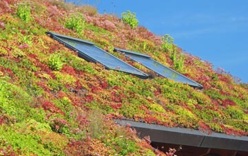 Brambridge living roof systems